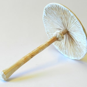 Mushroom Faux umbrella in hand-carved pine wood