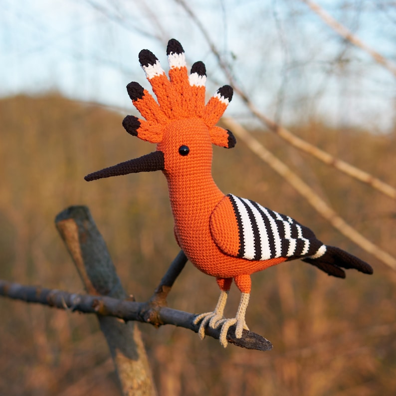 Hoopoe Crochet amigurumi PATTERN Amigurumi toy pattern Crochet hoopoe pattern bird crochet pdf pattern Original crochet amigurumi birds image 3