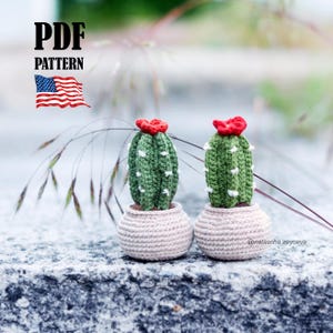 PDF Crochet Pattern Cactus in a Pot. Amigurumi Flower Succulent (English tutorial)