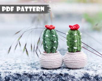 Crochet PATTERN cactus in a pot. Amigurumi flower pattern. Handmade flower toy. Amigurumi crochet cactus. Crochet pattern succulent