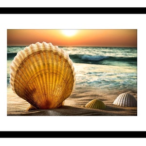 Beautiful Beach Shell Scene With Sand and Sunset Ocean Background - Etsy