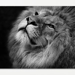 Lion Abstract Black and White Canvas Wall Art