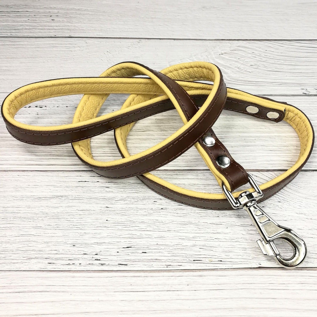 Pettorina E Guinzaglio In Pelle Vegana Di Origine Vegetale Mirum