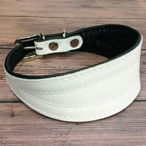 leather sighthound collar white black, wide dog collar for Italian Greyhound, Galgo, Greyhound, Whippet, Lurcher, soft padded