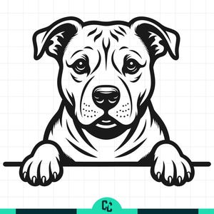 May include: A monochrome graphic of a pit bull dog. The dog's head and paws are visible, with the paws resting on a horizontal line. The dog has a detailed design, with visible fur and facial features.