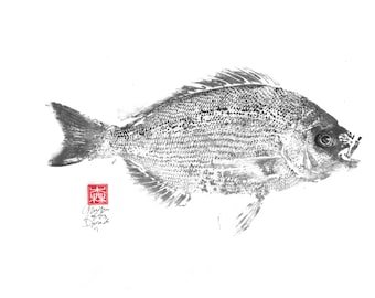 Original gyotaku of royal sea bream made in the traditional way. Marine decoration, interior wall, Japanese art. Ocean and sea fish