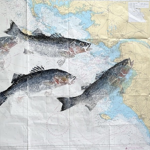 Gyotaku original de bars, en couleur, directement réalisés sur une vraie carte marine. Œuvre originale.