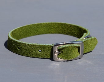 Suede small dog/puppy collar