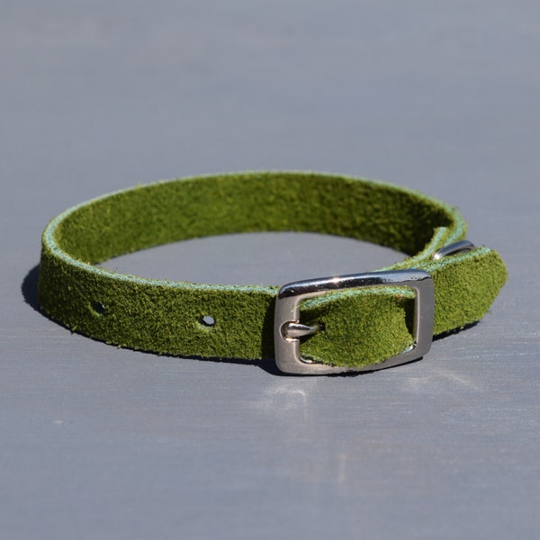 Suede small dog/puppy collar