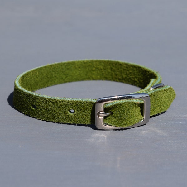 Suède halsband voor kleine hond/puppy