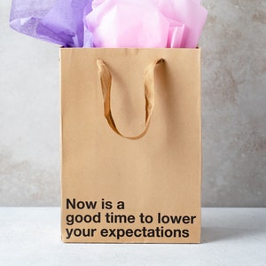 A funny gift bag made from eco-friendly brown kraft paper with "Now is a good time to lower your expectations" written on the front