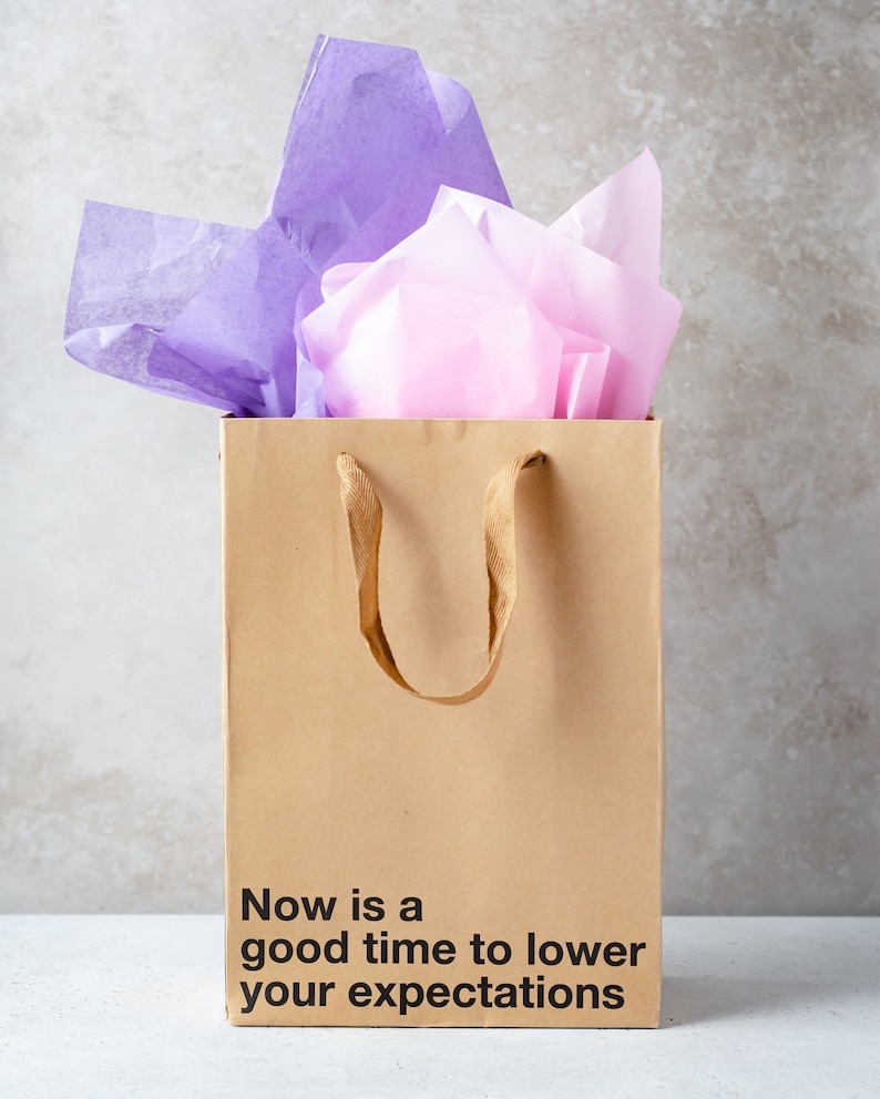 A funny gift bag made from eco-friendly brown kraft paper with "Now is a good time to lower your expectations" written on the front