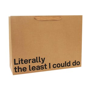 Funny Large Gift Bag, "The Least I Could Do", Kraft Paper Sack, 16 x 6 x 12 in, Snarky Printed Slogan