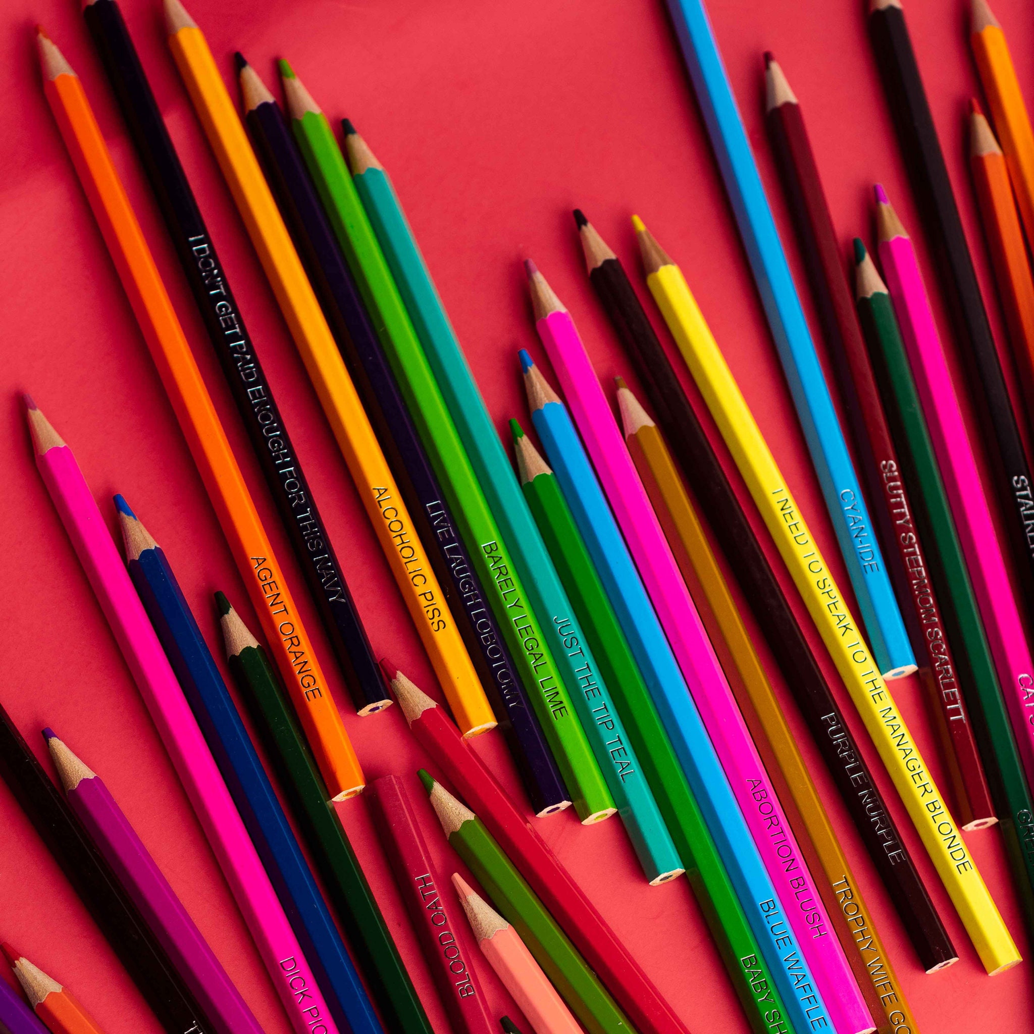 Offensive Colored Pencils, Adult Gag Gift, 48 Unique Colors - Etsy