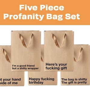 5 Piece Gift Bag Set, Funny gift bag set, gag gifts, , white elephant, holidays, gift wrap Office gift christmas, birthday, secret santa Sweary