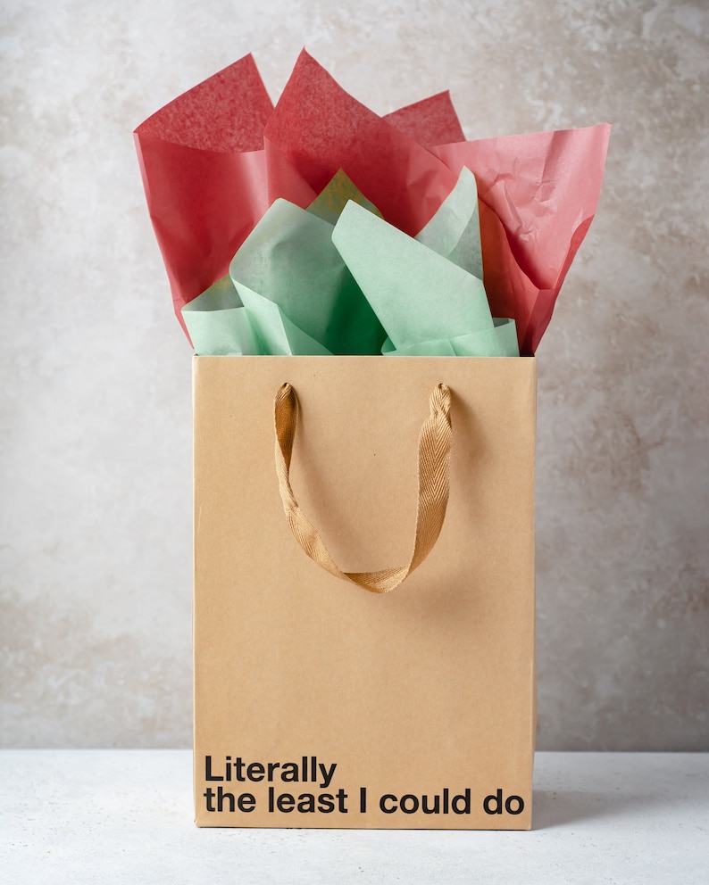 A funny gift bag made from eco-friendly brown kraft paper with "Literally the least I could do" written on the front