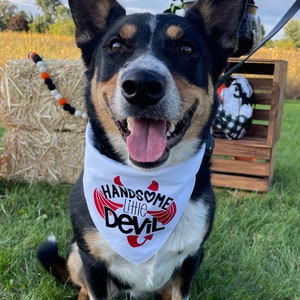 Handsome Little Devil Dog Bandana, Halloween Dog Bandana, Devil Bandana, Devil Halloween Dog Bandana