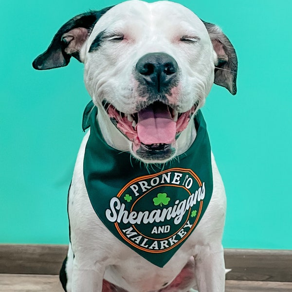 Prone to Shenanigans and Malarkey Dog Bandana, Shenanigans and Malarkey, St. Patrick’s Day Dog Bandana, St. Patrick’s Day Bandana