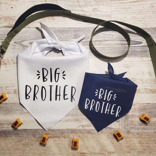 Promoted to Big Sister Promoted to Big Brother Bandana Dog Etsy