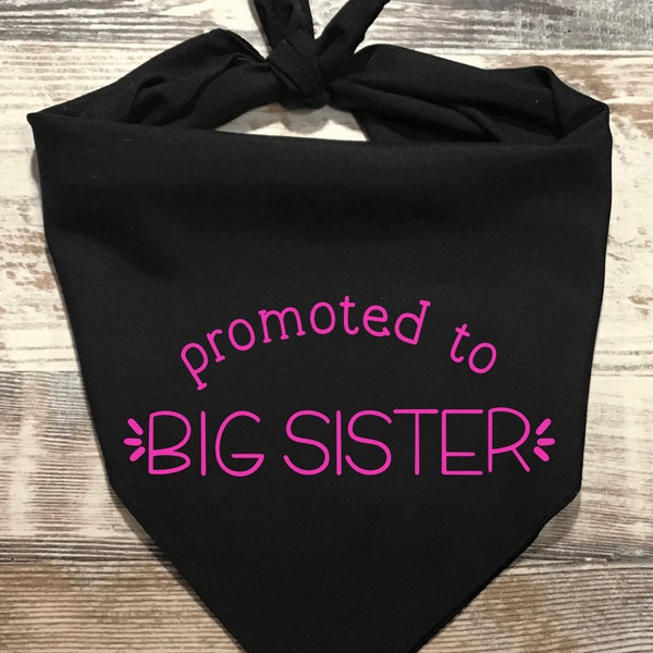 Officially Promoted to Big Sister Dog Bandana, Pregnancy Announcement Bandana, New Puppy Announcement, Big Sister, Big Sister Bandana