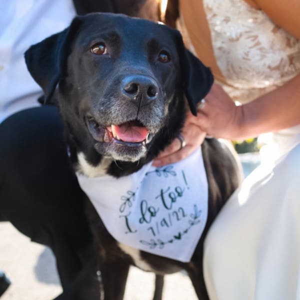 I Do Too Dog Bandana, Engagement Bandana, Wedding Bandana