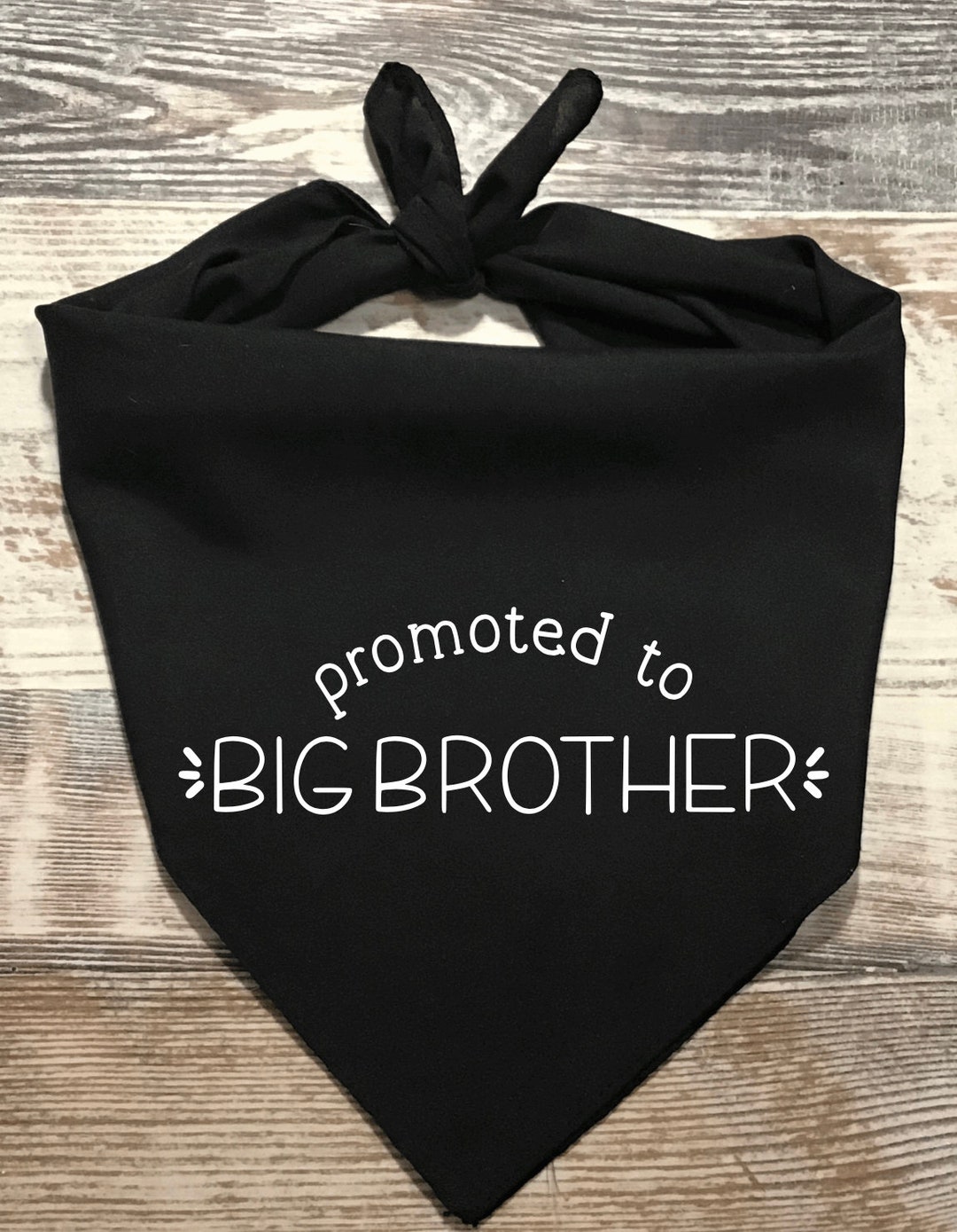 Officially Promoted to Big Brother Dog Bandana, Pregnancy Announcement