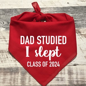 Dad Studied I Slept Class of 2024, Dad Studied I Slept Class of 2024 Bandana, Class of 2024 Dog Bandana, Graduation Bandana, Graduation