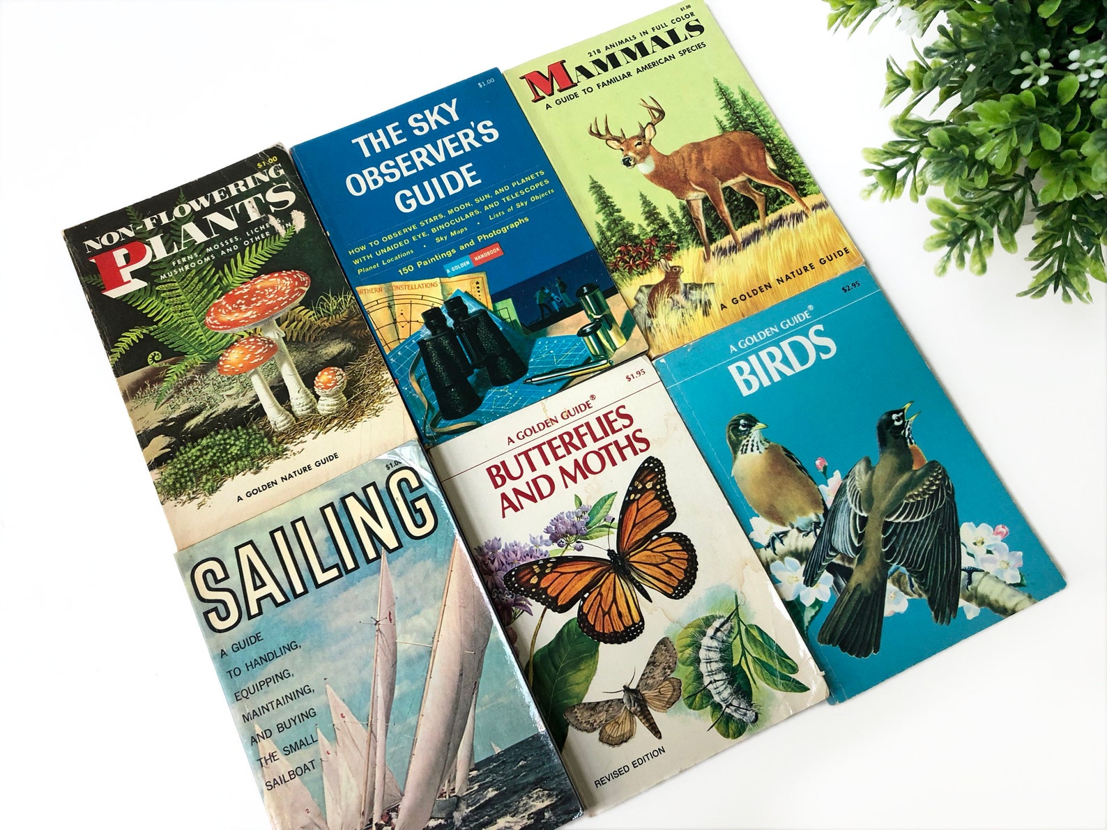 Golden Nature Guide Books Birds Butterflies and Moths Etsy