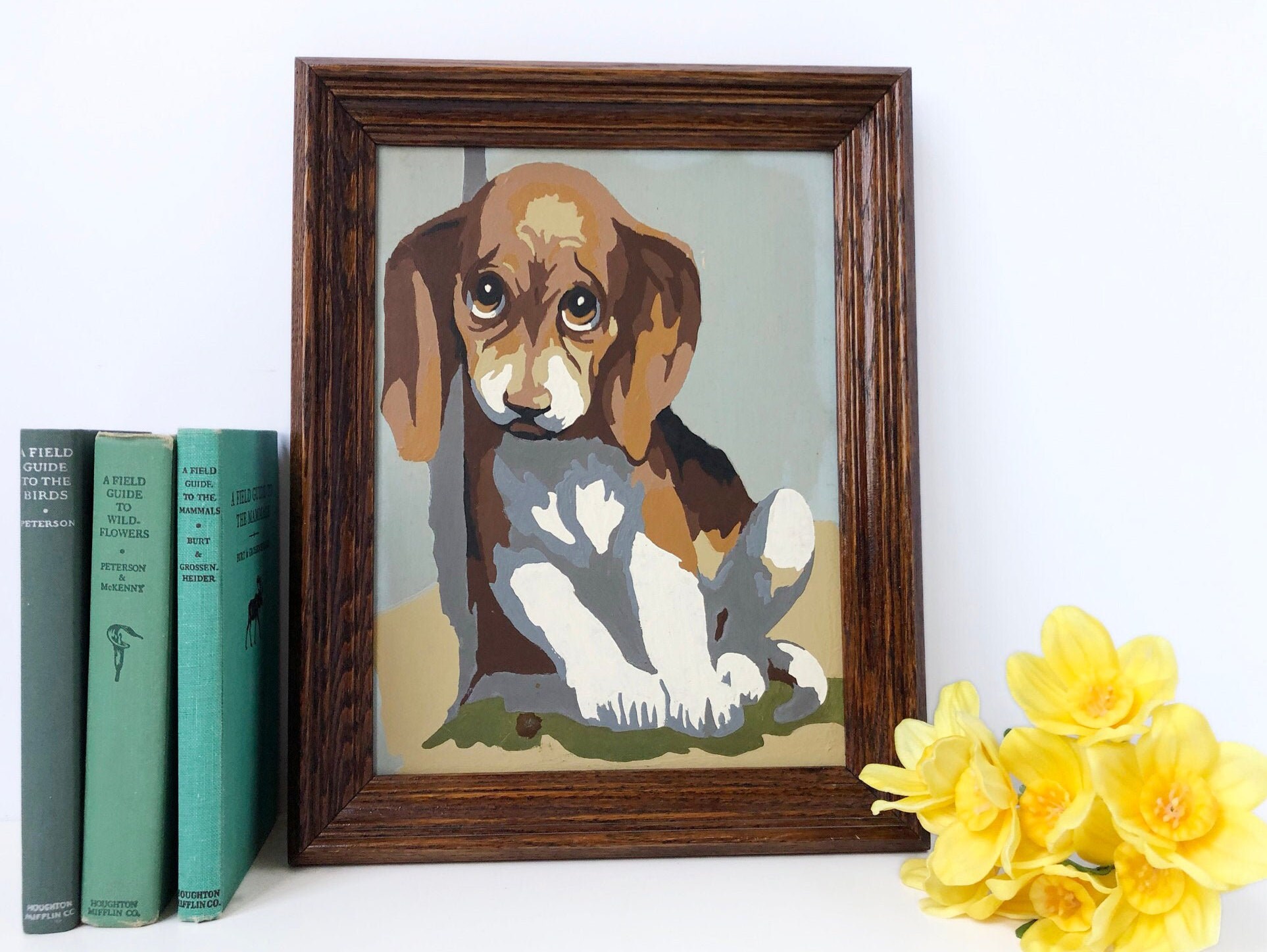 Beagle Dog Paint by Numbers Vintage PBN Midcentury Etsy UK