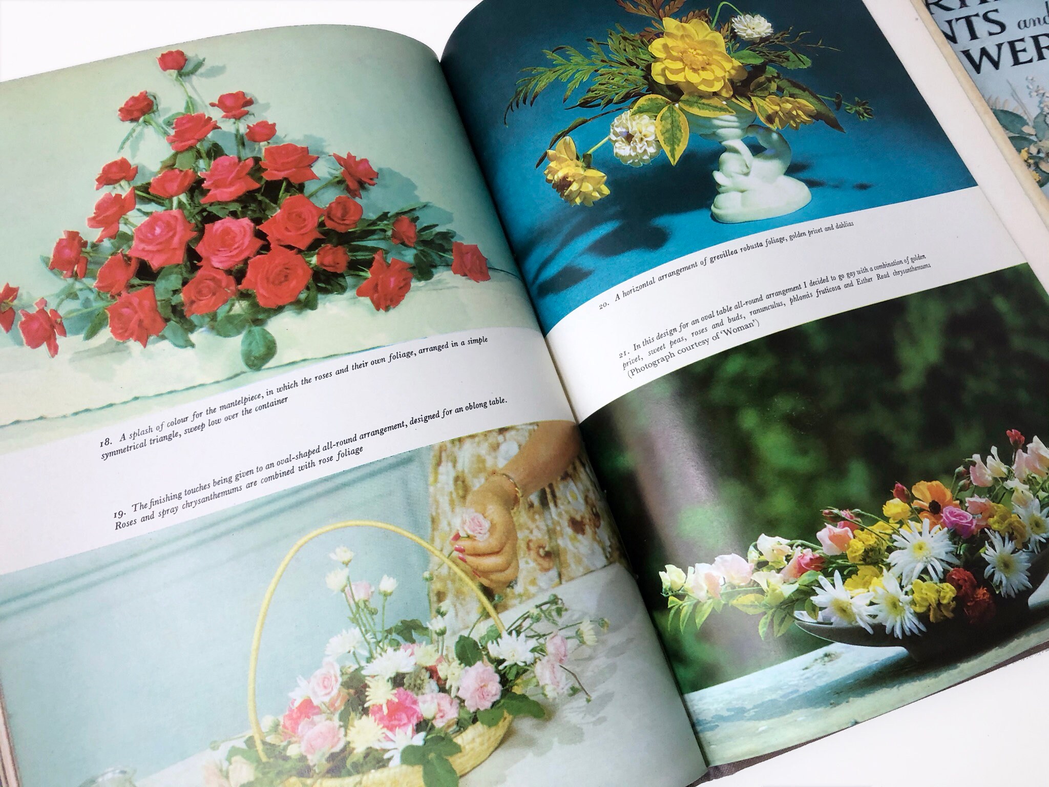 Flower Arranging Rainbow Book Set For Decor Vintage Flower Etsy Nederland