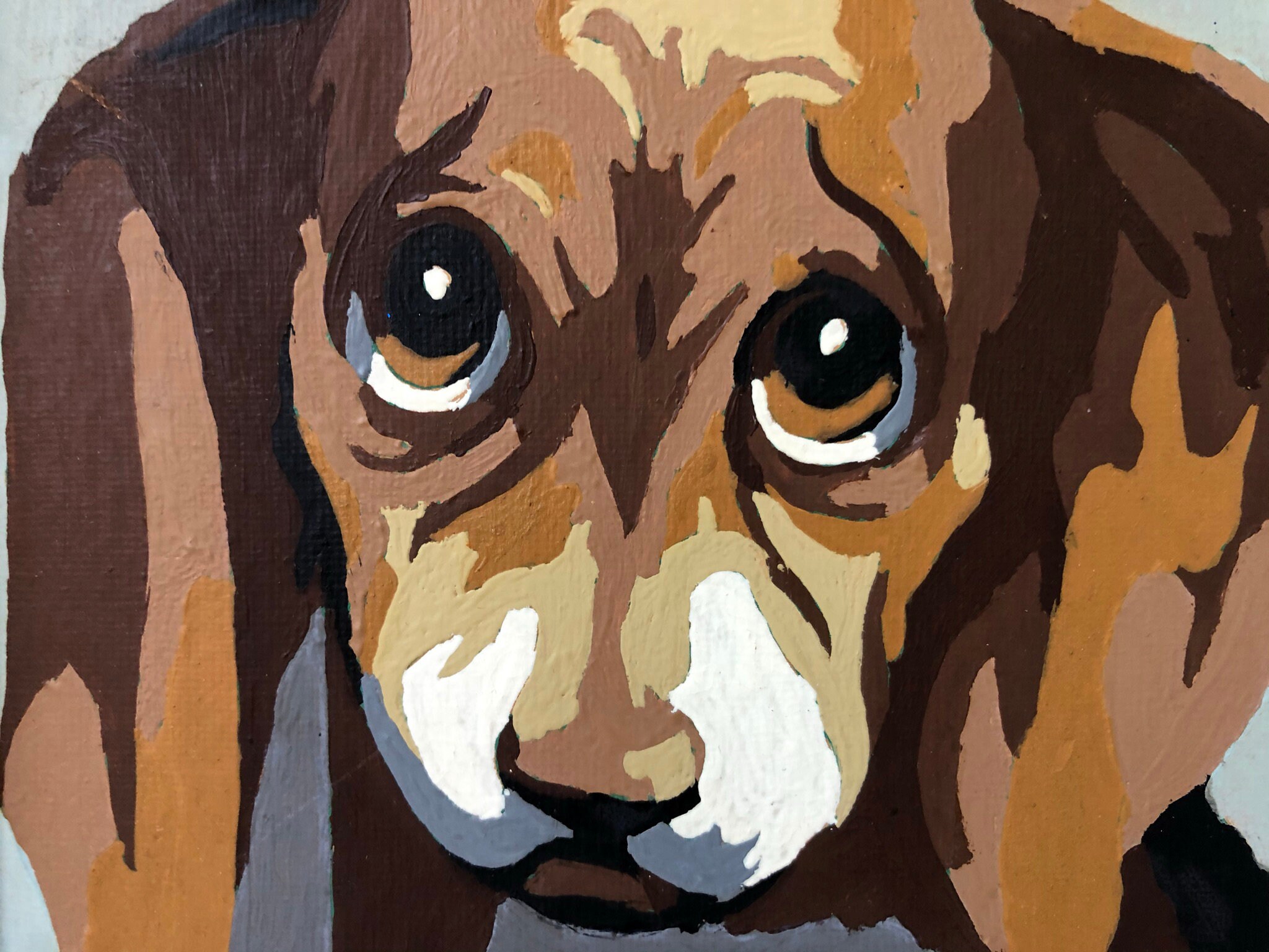 Beagle Dog Paint by Numbers Vintage PBN Midcentury Etsy UK