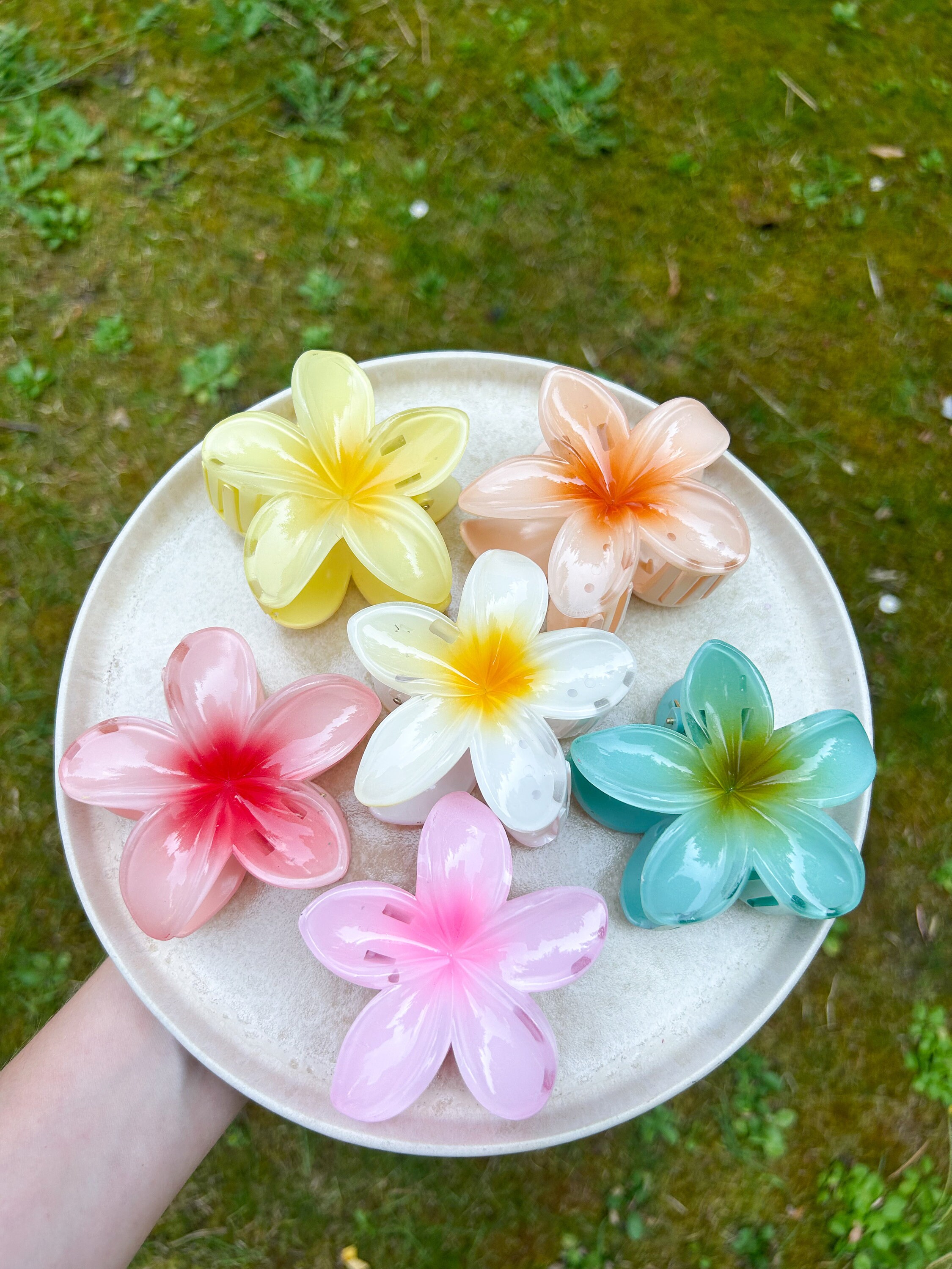 Classic Hawaiian Red Lehua & Leaf Hair Clips for Women