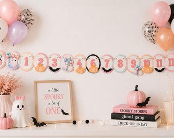 Spooky One Milestone Banner Halloween First Birthday Monthly Photo Banner Baby Picture Garland Decor