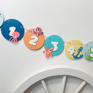 Banner de hitos mensuales bajo el mar Banner de fotos del primer cumpleaños de 12 meses en el océano Decoraciones de cumpleaños de Oneder The Sea Decoración para el primer cumpleaños de un niño
