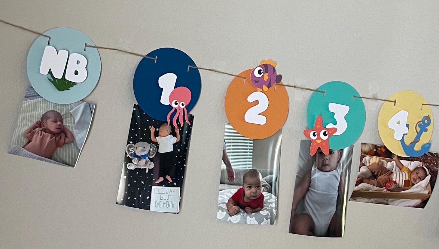 Under the Sea Monthly Milestone Banner Ocean 1st Birthday 12 Month ...