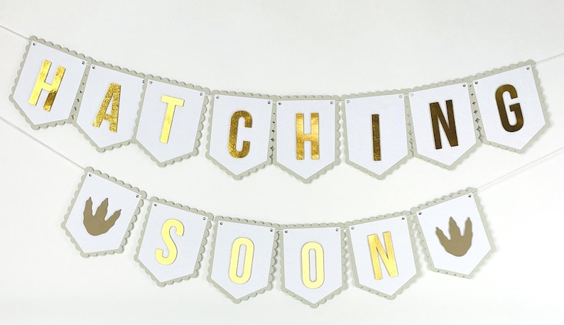 Dinosaur Baby Shower Banner – Hatching Soon Dino Banner, Boy Baby ...
