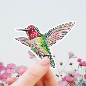 May include: A colorful hummingbird sticker with red, green, and pink hues, held against a backdrop of pink flowers and a light blue sky. The sticker features detailed wing and feather designs, perfect for decorating laptops, water bottles, or journals.