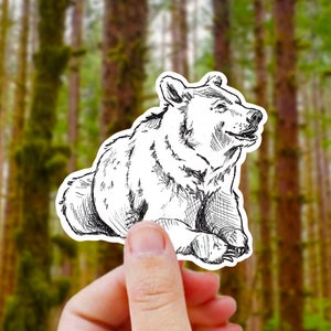 Adhesivo de vinilo con diseño de oso de la naturaleza: adhesivo con diseño de animal del bosque para botellas de agua, tazas de café, portátiles, mamá osa, ilustración realista de oso