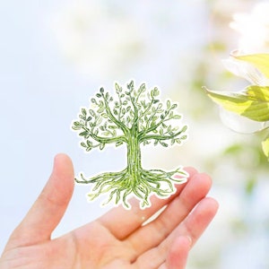 Calcomanía del árbol de la vida: calcomanía de vinilo relajante para botellas de agua, computadoras, fundas de teléfonos, atención plena, ilustración botánica natural al aire libre