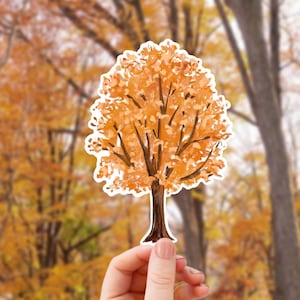 May include: A hand holds a paper cutout of a tree with orange leaves against a blurred background of an autumn forest.