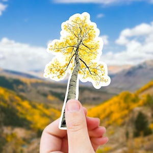 Adesivo de árvore de Aspen - decalque de vinil à prova d'água floresta Colorado para garrafa de água, laptop, carro, adesivo de natureza de cena de montanha, granola girl