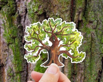 Sticker arbre de vie - Sticker Chêne en vinyle pour bouteille d'eau, ordinateur, coque de téléphone, pleine conscience, arbre généalogique, illustration botanique