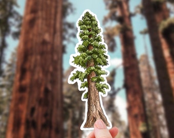 Sticker très grand séquoia - Sticker forêt de séquoias imperméable en vinyle, cadeau parc national de Californie