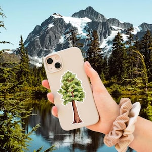 Decalque de árvore de sequoia - adesivo de vinil à prova d'água da floresta da Califórnia para garrafa de água, computador, capa de telefone, carro, vida de acampamento, presente de parque nacional