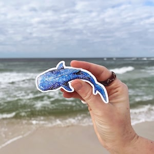 Op de afbeelding: Een blauwe en witte walvishaai-sticker met een witte rand. De sticker wordt in een hand gehouden tegen een achtergrond van een strand en oceaan.