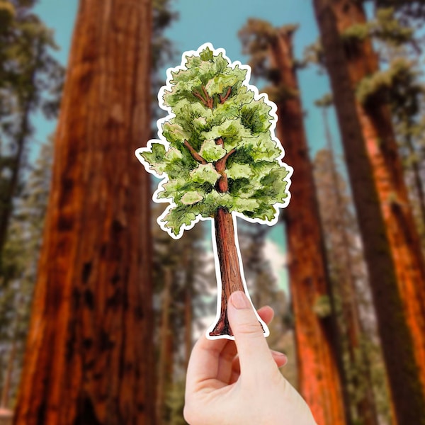 Extra grote Sequoia Tree Decal-Vinyl waterdichte bossticker, California Redwood Art, National Park Gift, populaire Infinity Sticker