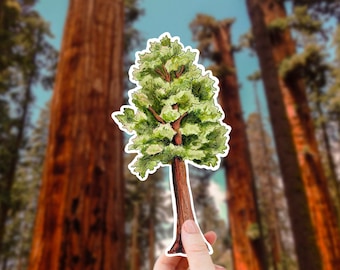 Sequoia Tree Sticker: Waterproof Vinyl Decal, California Redwood Art