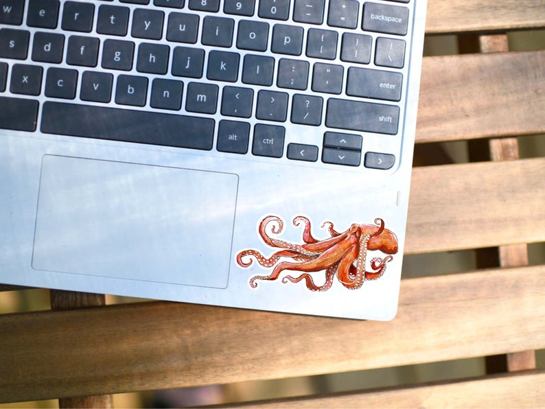 Kraken Sticker Octopus Sticker, Squid Sticker, Marine Biology Gift, Ocean Art, Sea Creature Sticker for Laptop, Water Bottle zdjęcie 6