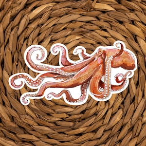Kraken Sticker Octopus Sticker, Squid Sticker, Marine Biology Gift, Ocean Art, Sea Creature Sticker for Laptop, Water Bottle zdjęcie 2
