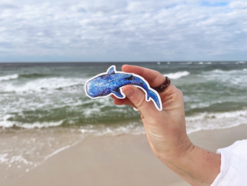 Op de afbeelding: Een blauwe en witte walvishaai-sticker met een witte rand. De sticker wordt in een hand gehouden tegen een achtergrond van een strand en oceaan.